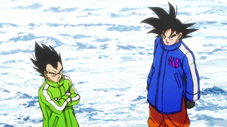People Love Goku And Vegeta's New...Jackets